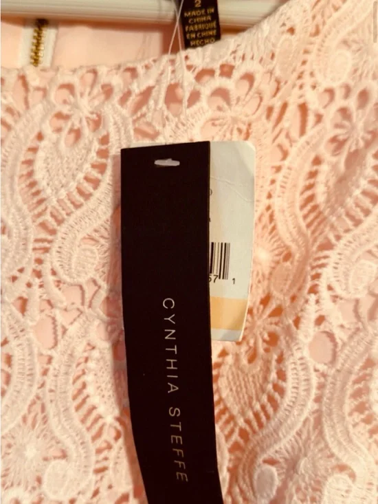 Elegant And Beautiful Cynthia Steffe Blush Pink Lace Shift Dress - Picture 2 of 3